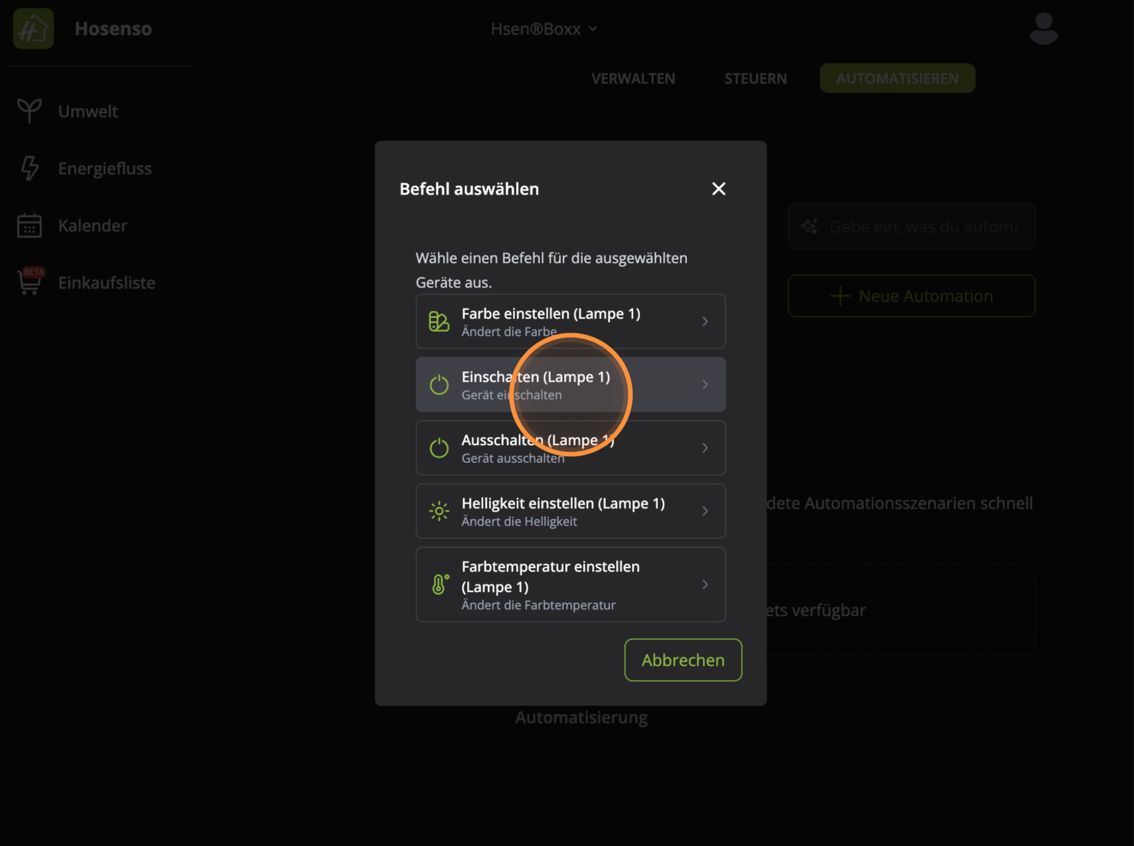 Befehl auswählen mit Optionen Farbe Einschalten Ausschalten Helligkeit Farbtemperatur